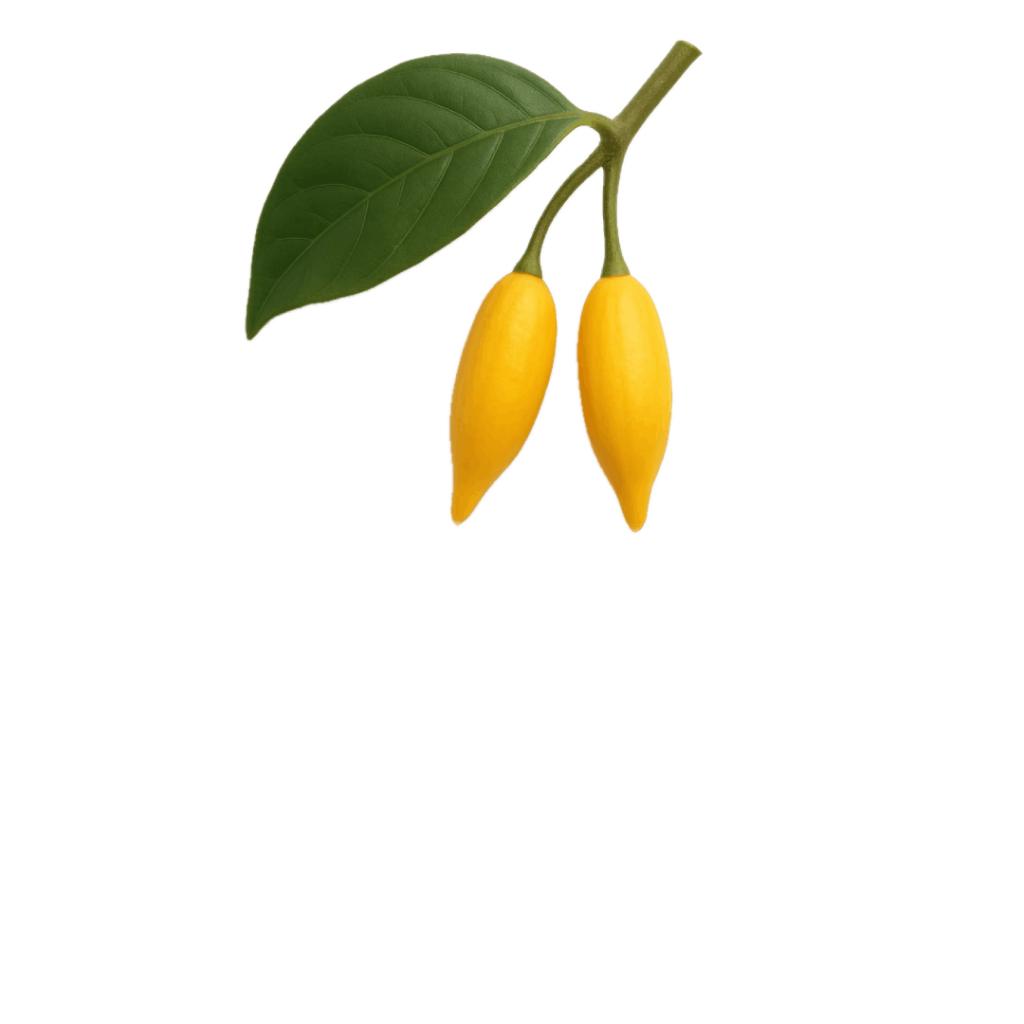 noribogaine
