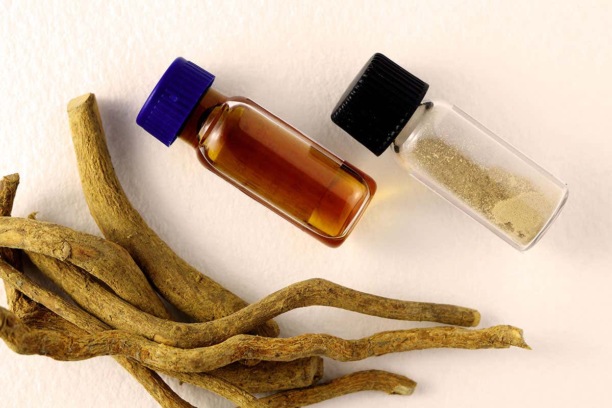 Ibogaine Root Bark for Sale