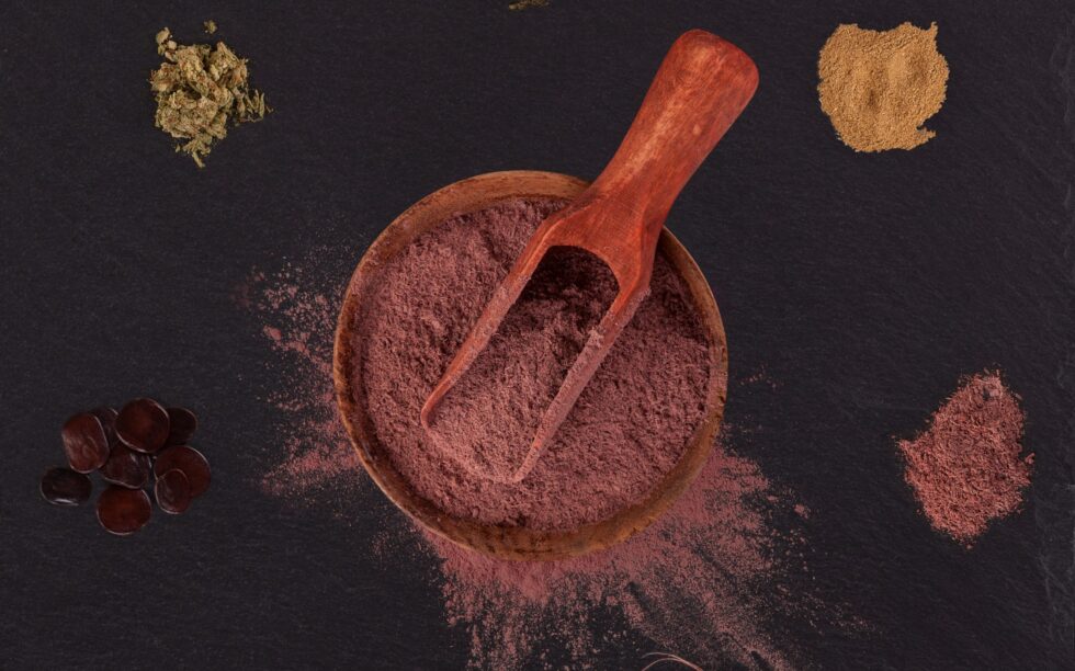 Ibogaine and the Heart